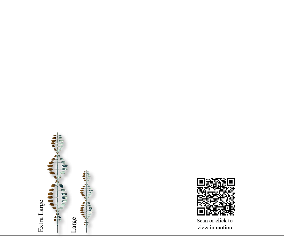 Scan or click to view in motion,Extra Large,Larg