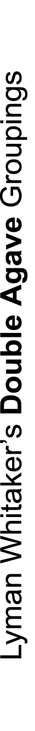 Lyman Whitaker’s Double Agave Groupings