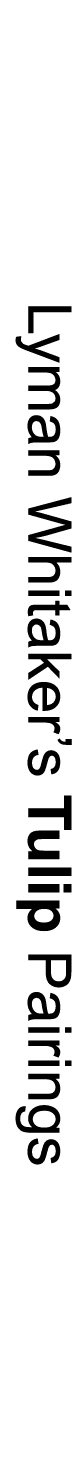 Lyman Whitaker’s Tulip Pairings