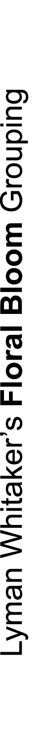Lyman Whitaker’s Floral Bloom Grouping