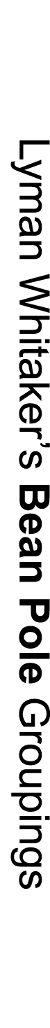 Lyman Whitaker’s Bean Pole Groupings