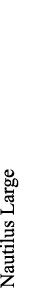 Nautilus Large