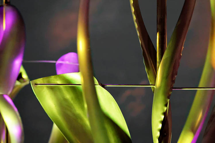 A plant with purple flowers and green leaves. AI generated content