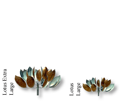 Lotus Large,Lotus Extra Larg