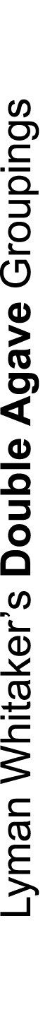 Lyman Whitaker’s Double Agave Groupings