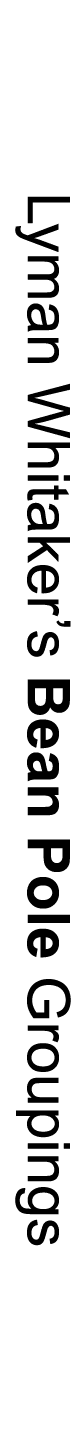Lyman Whitaker’s Bean Pole Groupings