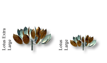 Lotus Large,Lotus Extra Larg